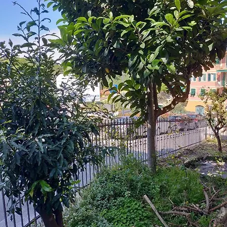 Casa Del Nespolo Camogli